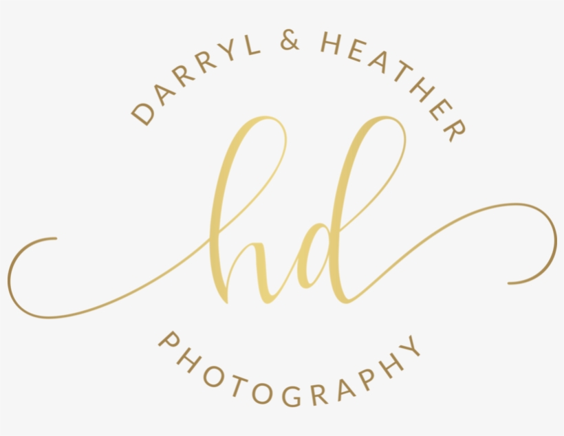 The Wedding Experience - Danielle Kilgore Photography, transparent png #5734777