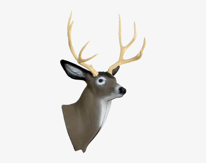 Deer Head Images - Delta Mckenzie Pinnacle Mule Deer Hunting Archery Target, transparent png #5735526