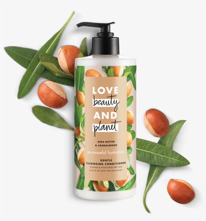Love Beauty And Planet Shea Butter & Sandalwood Body - Love Beauty And Planet Body Wash, transparent png #5736342