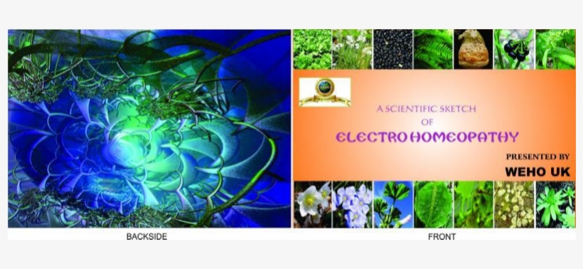 Book-24 - Electrohomeopathy, transparent png #5736709