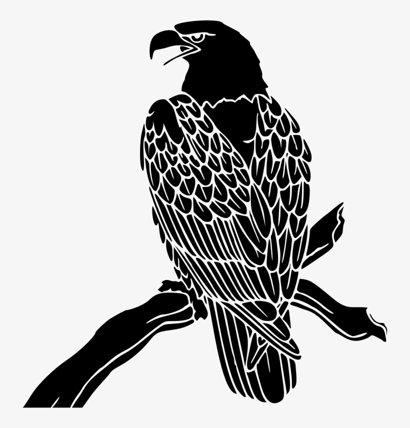 Bald Eagle Inverse - Bald Eagle, transparent png #5737868