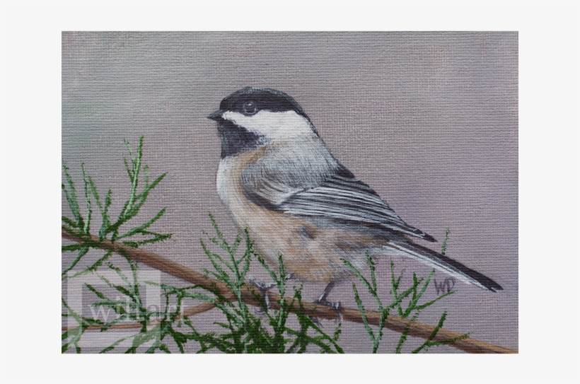 Chickadee Png, transparent png #5737955