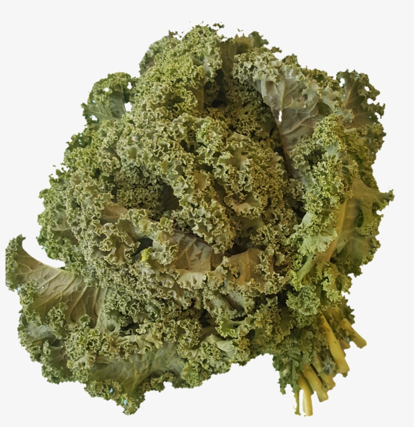 1531937704003 - Herbal Tea Leaves, transparent png #5738239