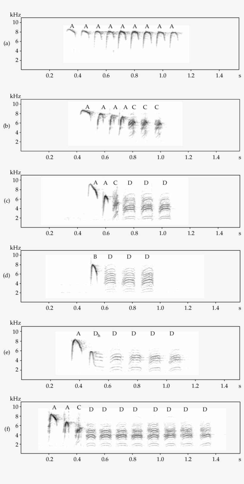1 Sonagrams Of Carolina Chickadee Calls That Vary In - Calligraphy, transparent png #5738349