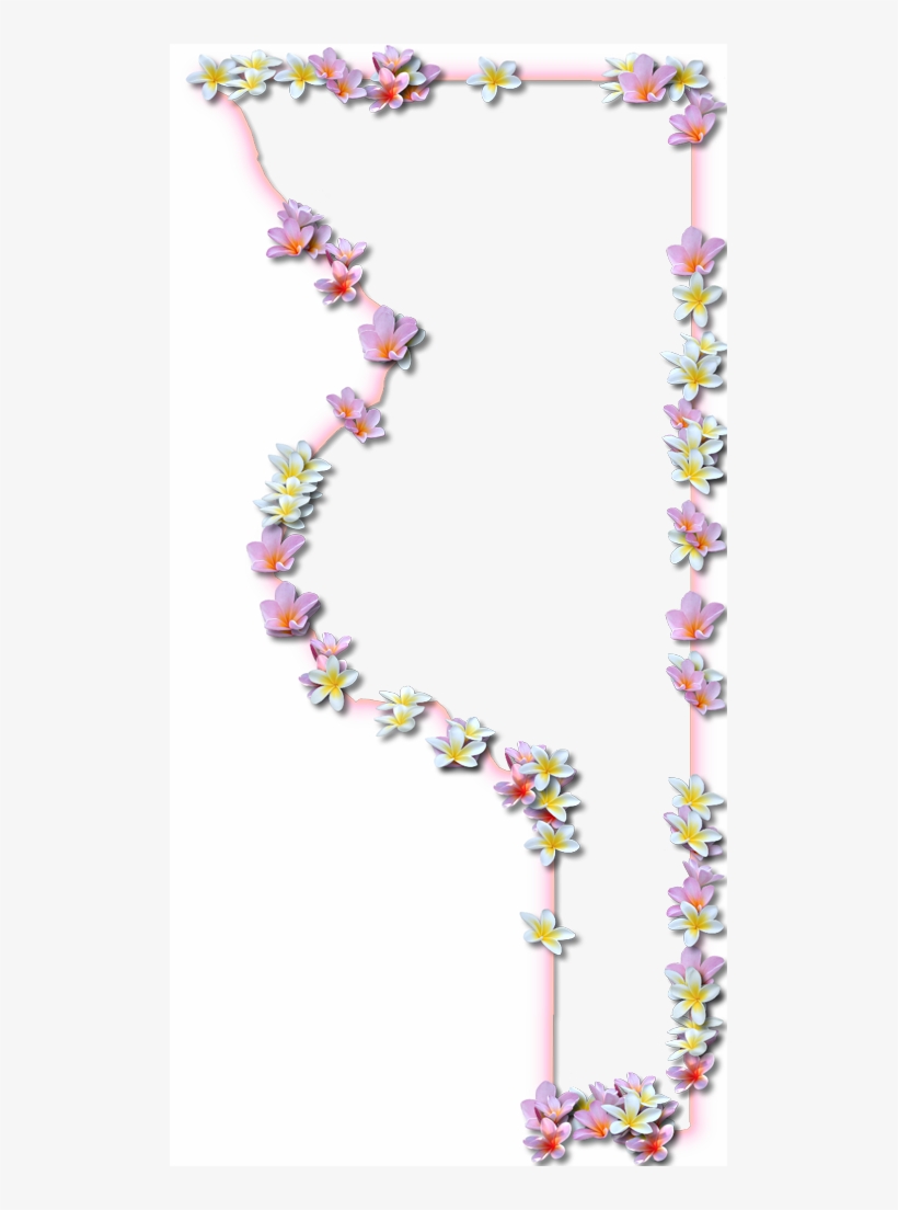 A Map Of Sumter With A Coral Color Glow Border And - Floral Design, transparent png #5739171