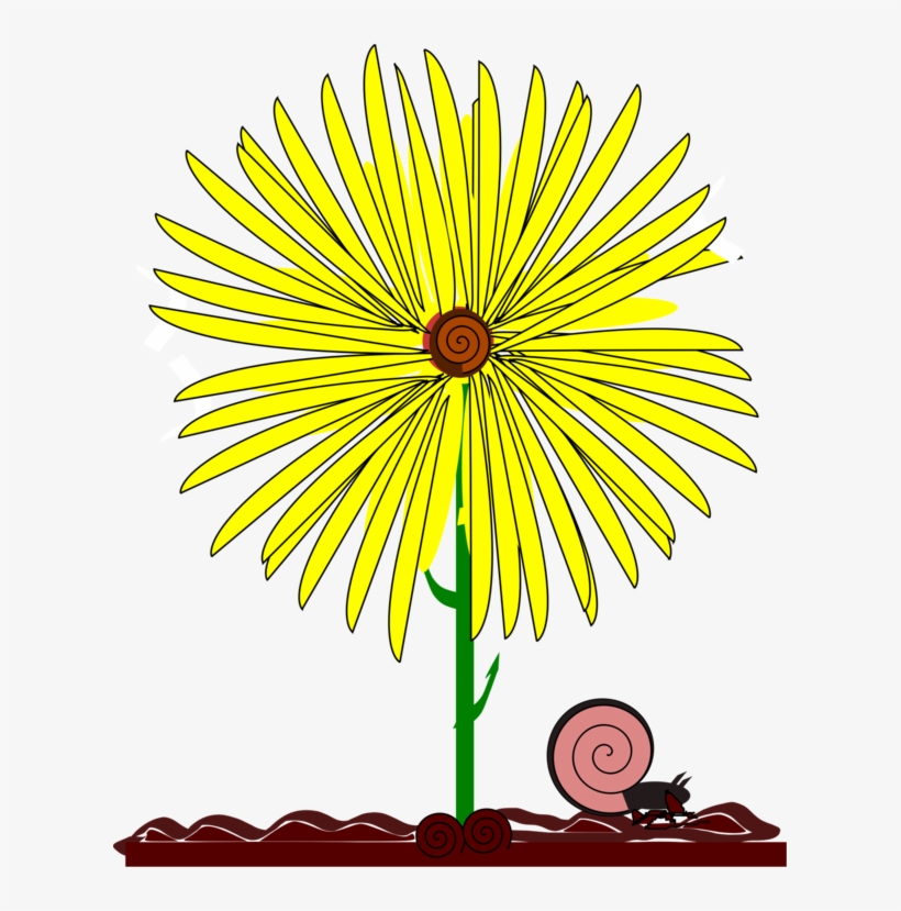 Common Daisy Common Sunflower Yellow Snail, transparent png #5739382