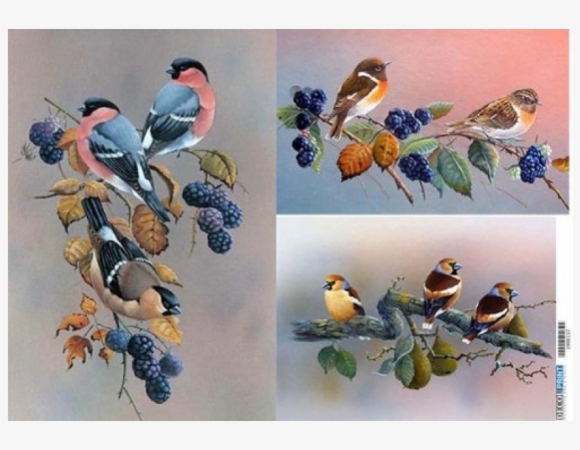 Artland Ruud Weenink: Ast Mit Beeren Und Vögel, Produkt:leinwand,, transparent png #5739937