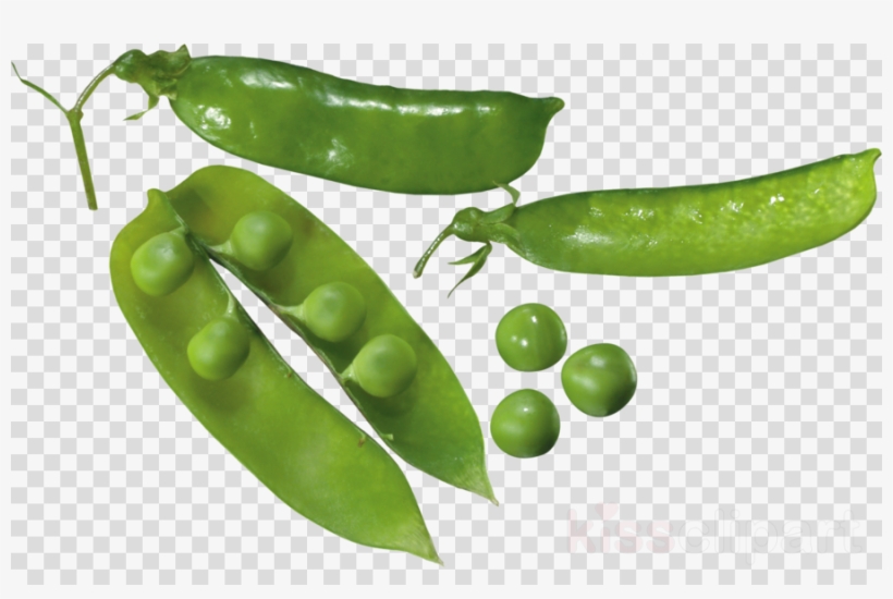 Download Natural Foods Clipart Snap Pea Serrano Pepper - Green Pea, transparent png #5740738