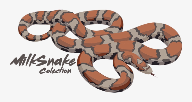 Hi, My Name Is Arthur And I Decided To Create A Range, transparent png #5741143