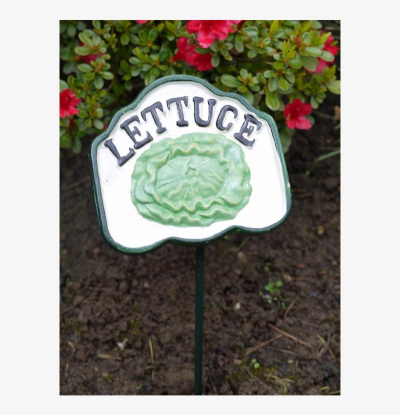 Cast Iron Garden Pot Outdoor Decorative Vegetable Plant - Lettuce, transparent png #5741245