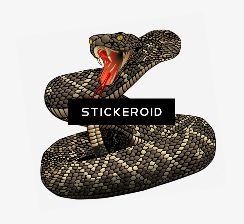 Rattlesnake - Eastern Diamondback Rattlesnake Clipart, transparent png #5741296