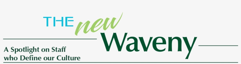 Edition - Guitar String, transparent png #5741445