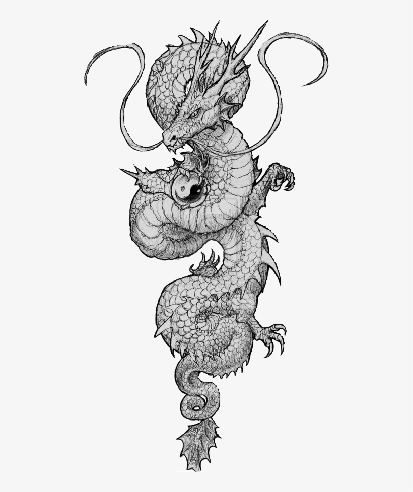 Chinese Tattoo - Dragon Tattoo Chinese - Free Transparent PNG Download -  PNGkey