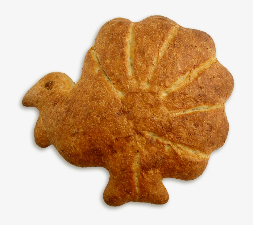 Turkey Shaped Bread - Turkey Shaped Cookies, transparent png #5742608