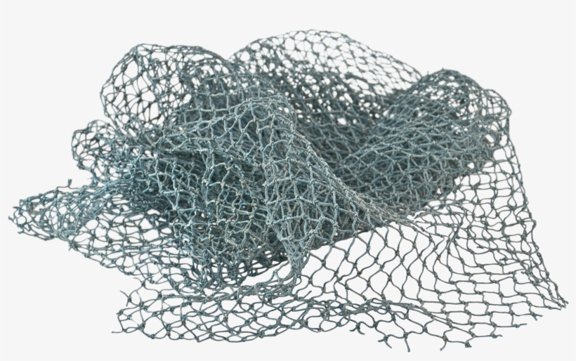 Aqua Teal Marine Fishing - Transparent Fish Net Png, transparent png #5745209