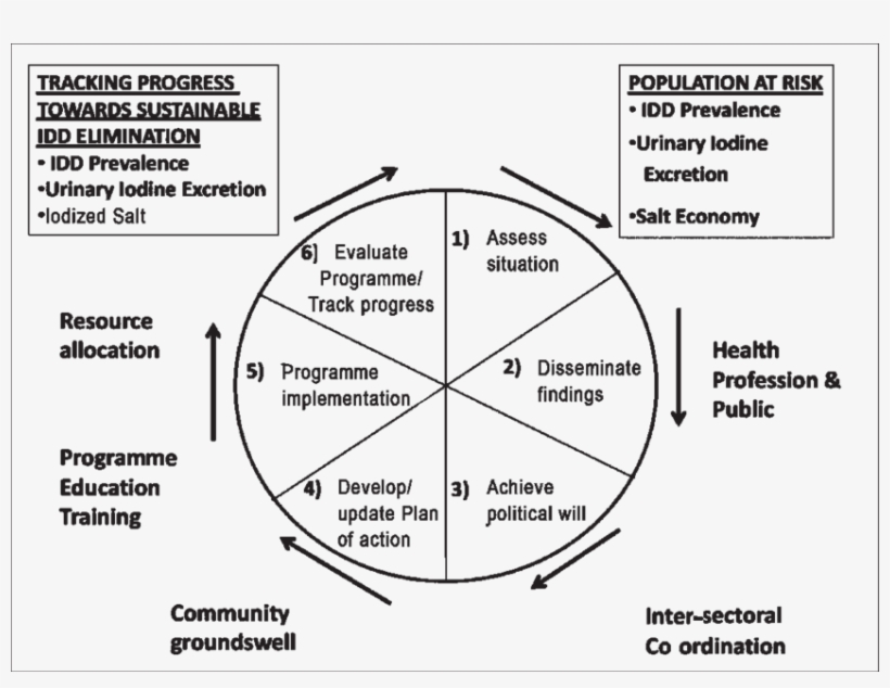 Social Process Model For A National Idd Control Programme - Process Control Programme, transparent png #5746113