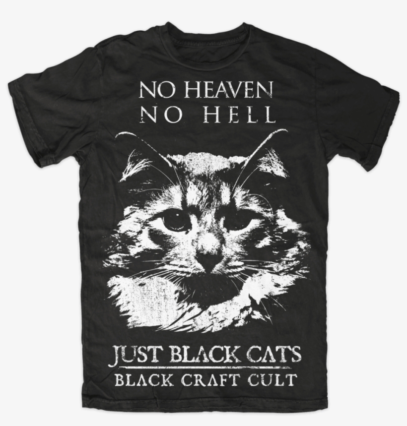 No Heaven No Hell Just Black Cats, transparent png #5746380