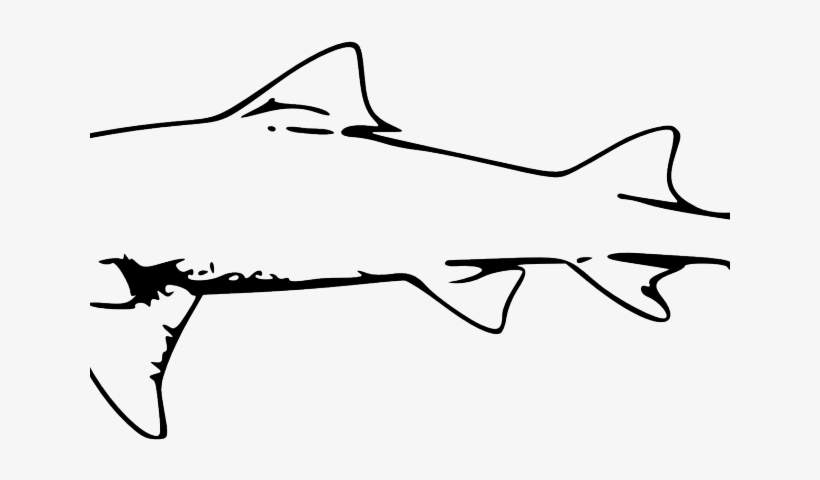 Great White Shark Clipart Traceable, transparent png #5747714