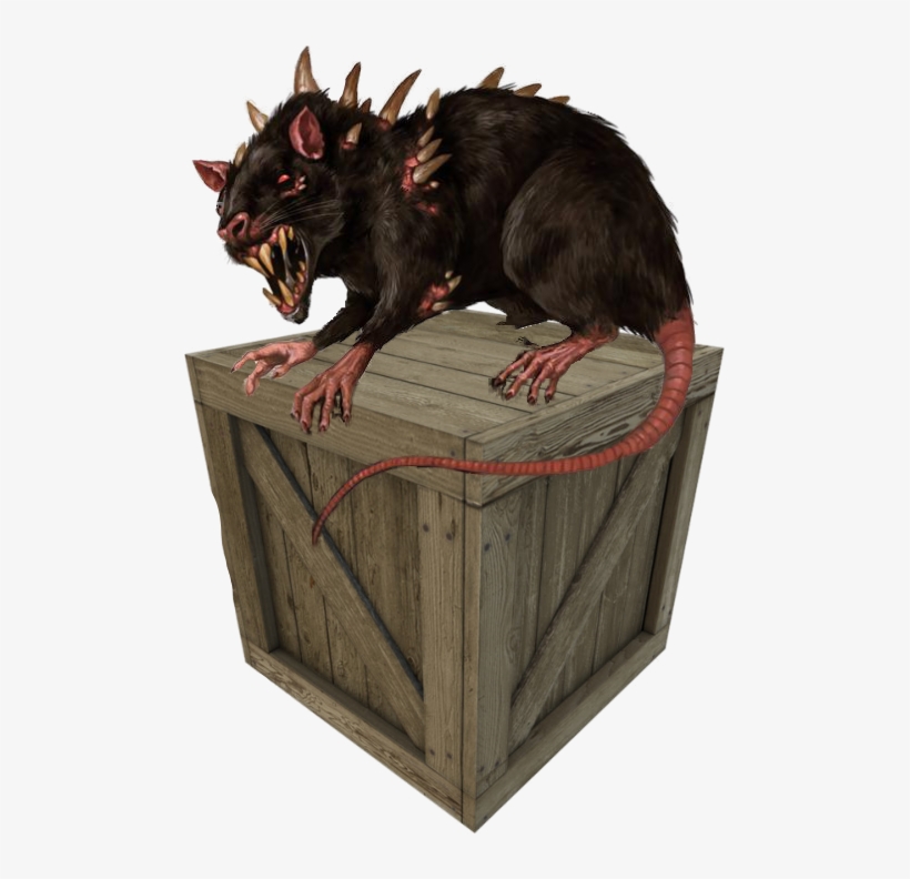 Rat-bilge - Rato Atroz D&d, transparent png #5748581