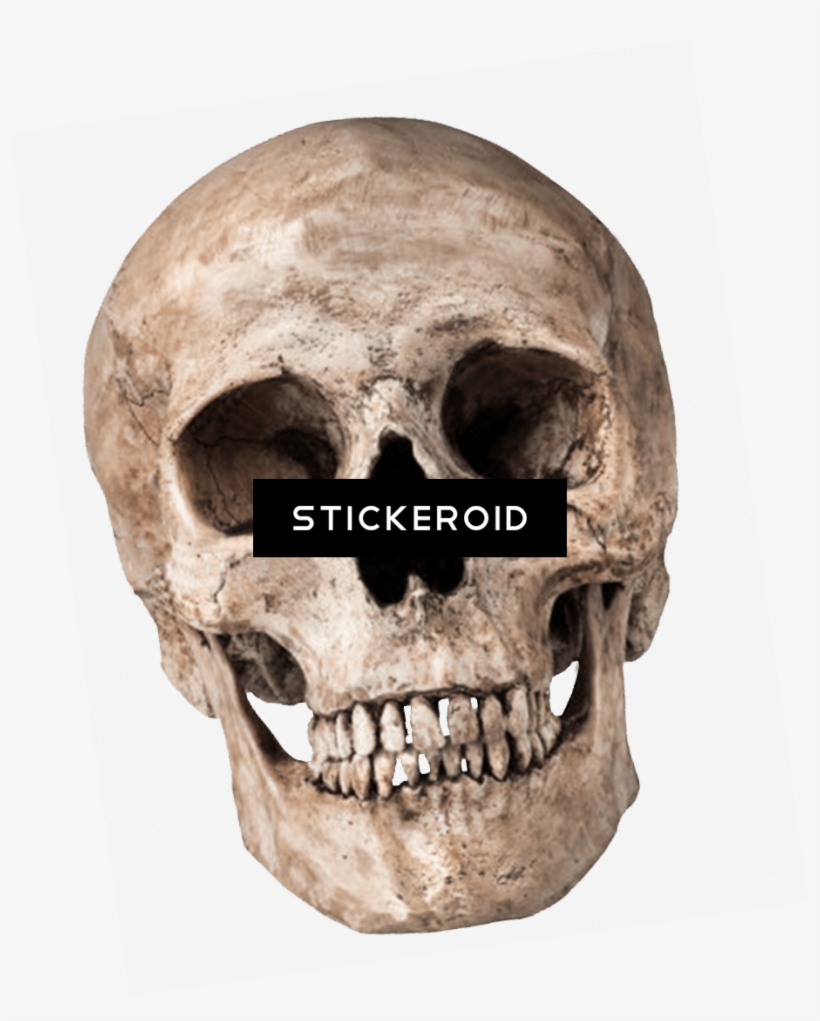Human Skull - Sonu Rajput Editing Background, transparent png #5752424