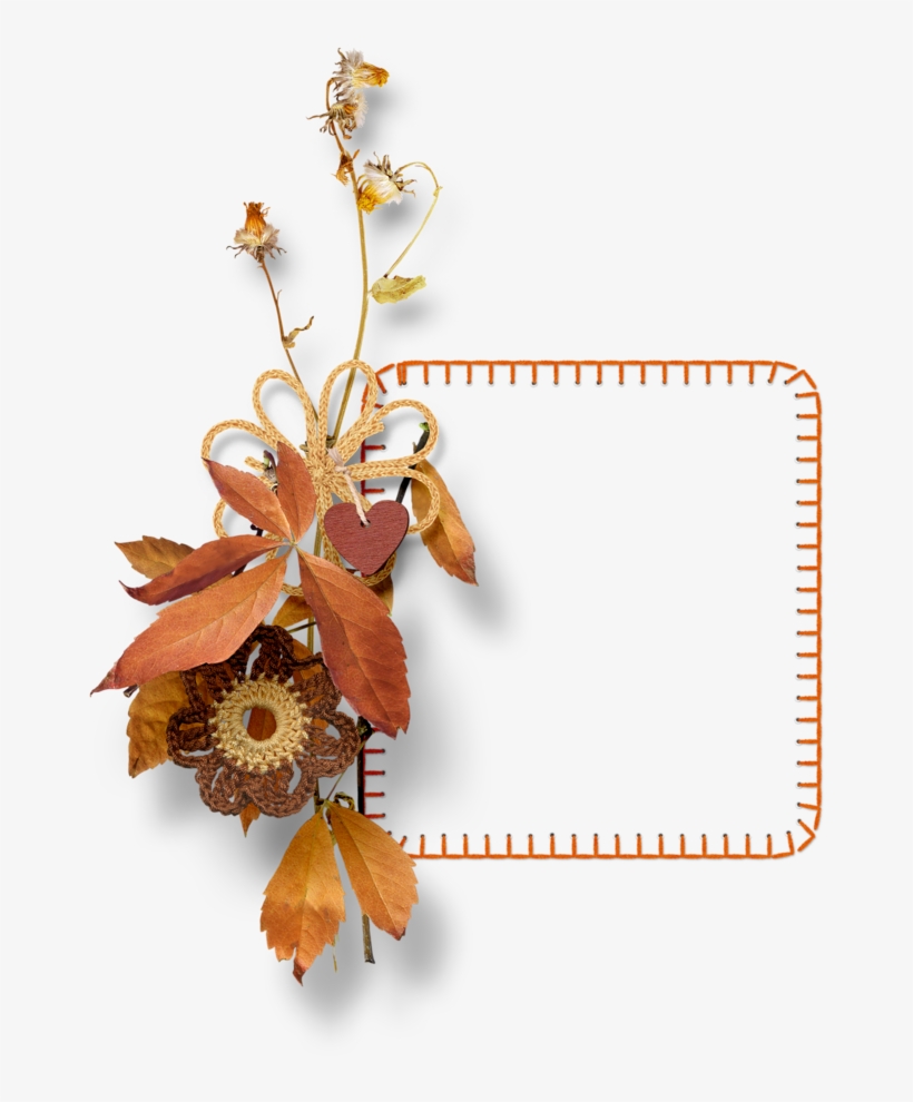 Фоткиcoleccion Rainbow Of Autumn Colors Halloween Frames, - Portable Network Graphics, transparent png #5754023