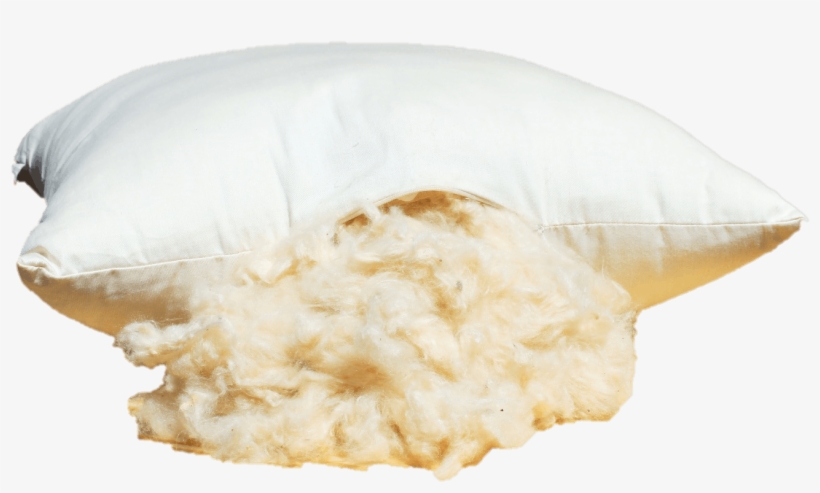 Our Kapok Pillows Are Made With 100% Organic Cotton - Jellyfish, transparent png #5754170