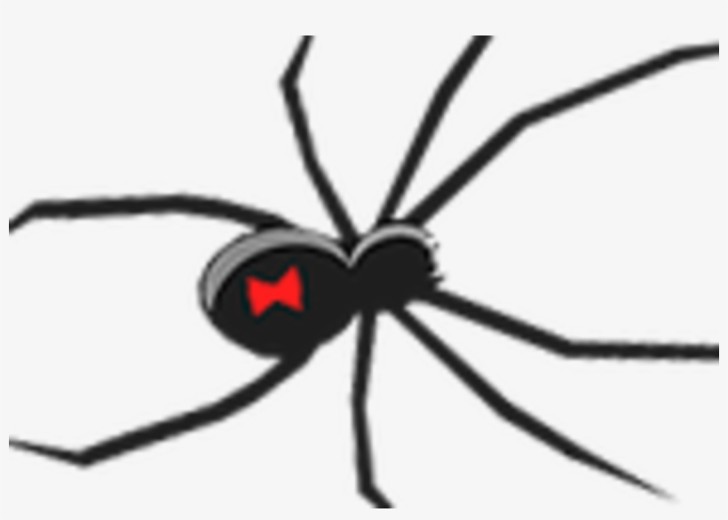 Halloween Looks - Black Widow Spider Ornament, transparent png #5754906