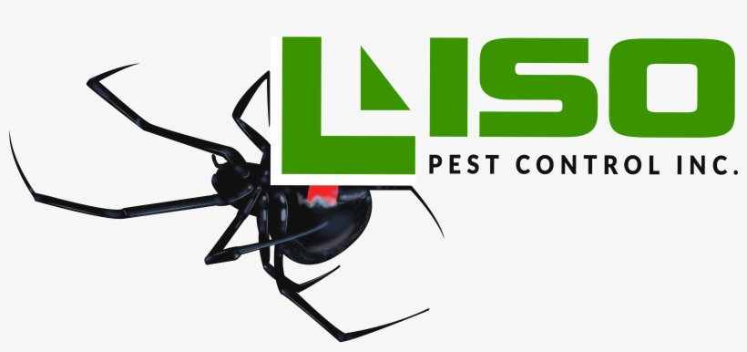 Liso Pest Control - Liso Pest Control Inc, transparent png #5755041