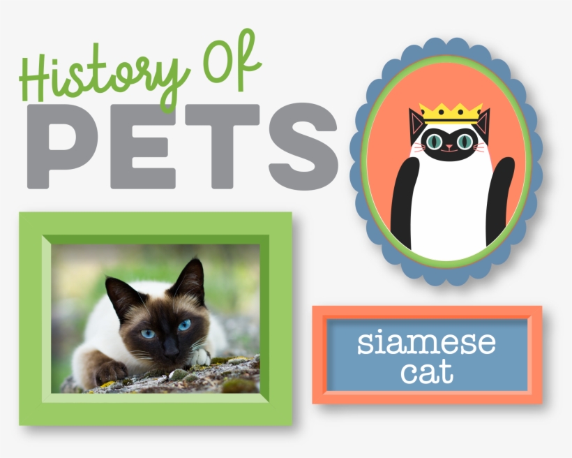 While A Well-known Breed, A Lesser Known Fact About - Pet, transparent png #5755868