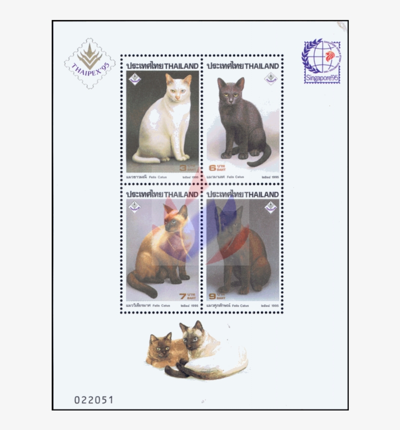 Siamese Cats - Postage Stamp, transparent png #5756047