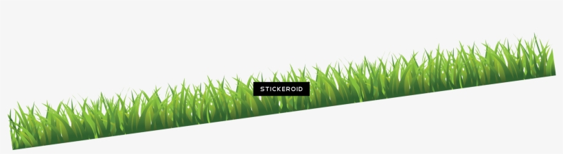 Grass Green Grass Nature - Sweet Grass, transparent png #5756614