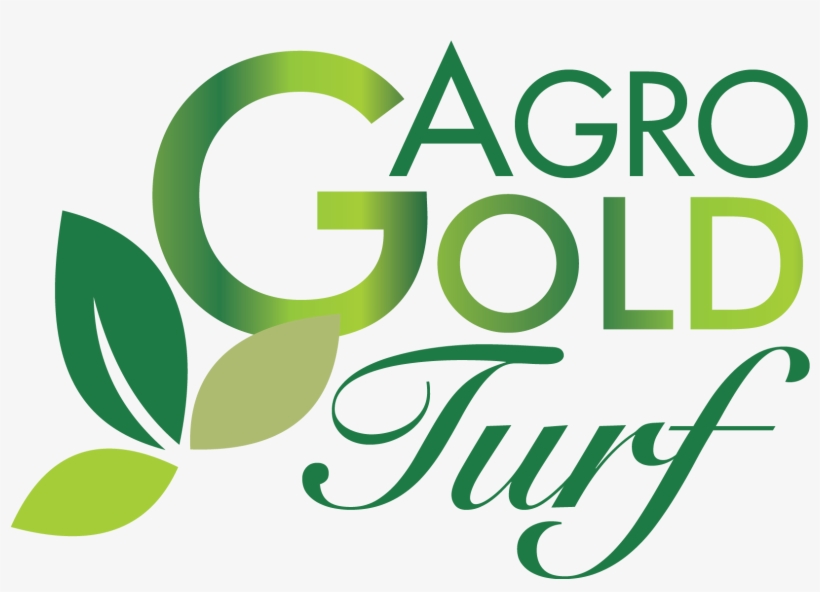 Agro Gold Turf - Graduation Ceremony, transparent png #5757017
