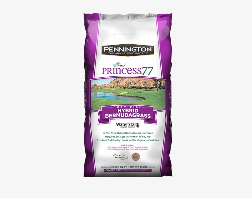 Princess - Pennington Grass Princess 77, transparent png #5757244