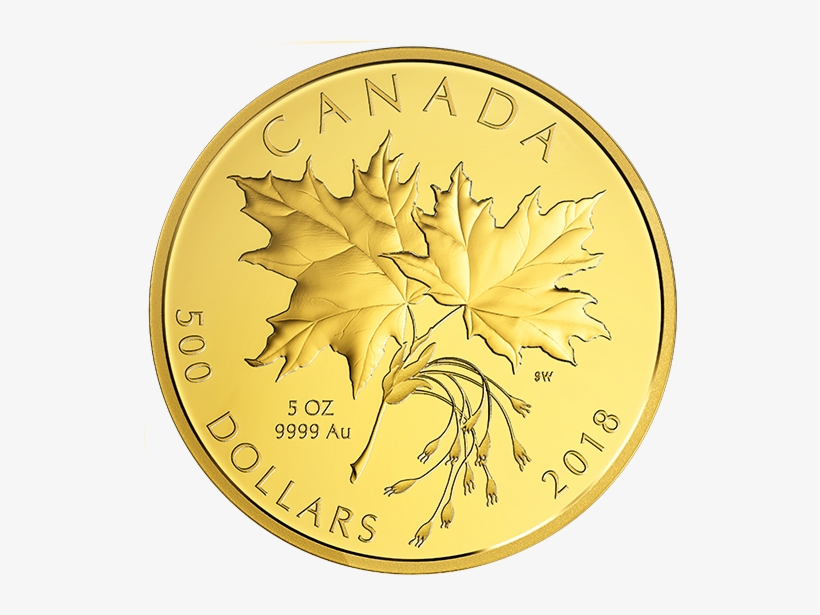 Maple Leaf, transparent png #5758553
