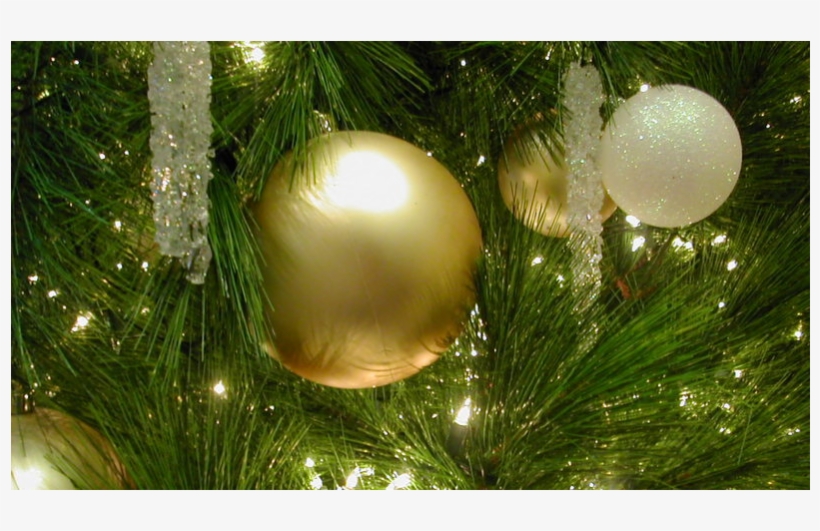 Posted By Jason Klein On Sep 22, 2015 At - Christmas Day, transparent png #5759037