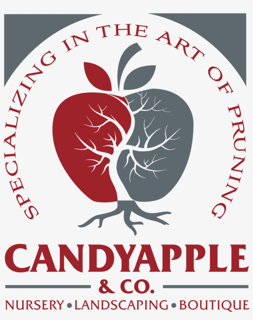 Making Moments Memorable With Candyapple - Jpeg, transparent png #5759045