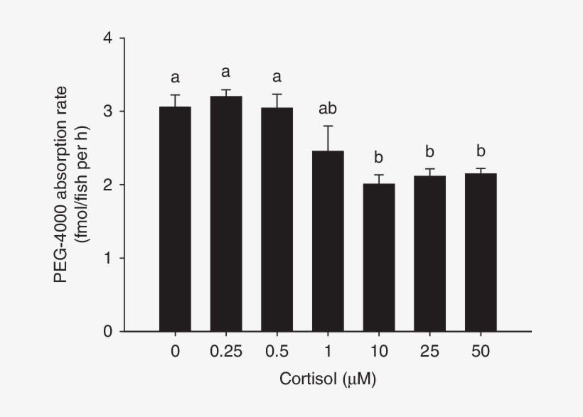 The Epithelial Permeability Reduces With Increasing - Mean, transparent png #5761908