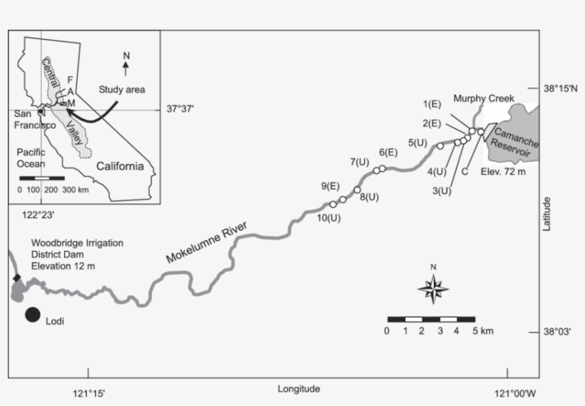 Locations Of 10 Egg-tube Study Sites Within The Lower - Diagram, transparent png #5762019