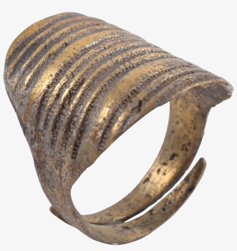 Viking Shield Ring C - Vikings, transparent png #5762631