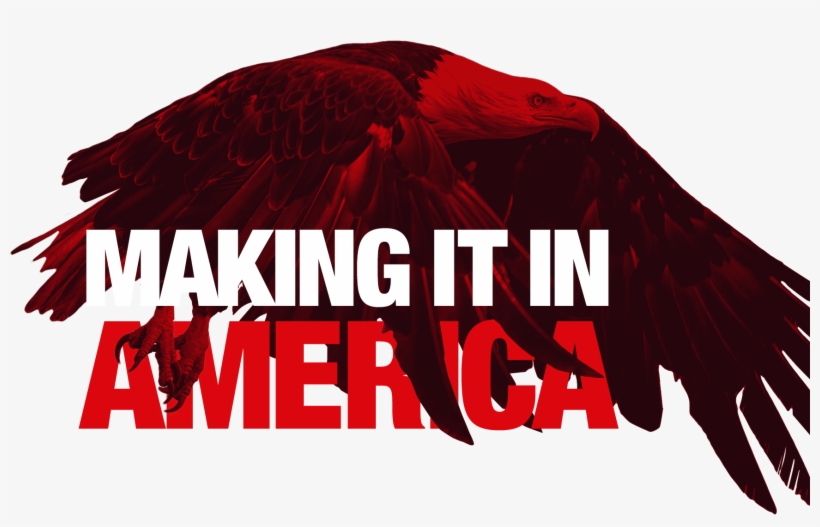 So If You Are Looking For Someone Who Is “making It - Hawk, transparent png #5765500