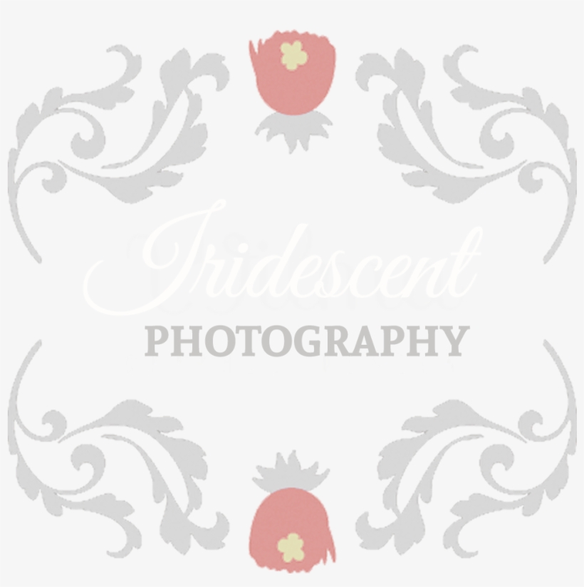 Product, transparent png #5766067