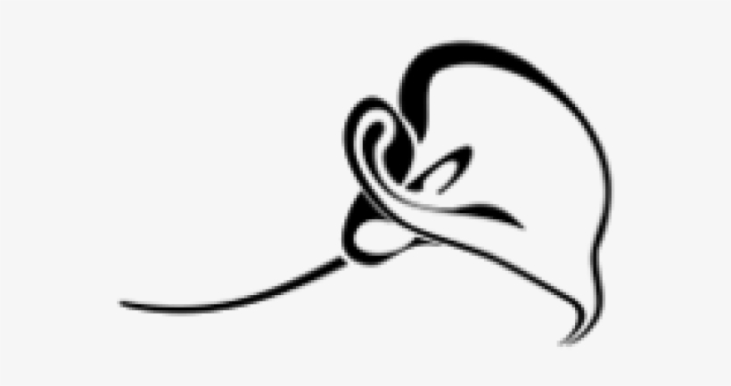 Calla Lily Clipart Border - Calla Lily Tattoo, transparent png #5767592