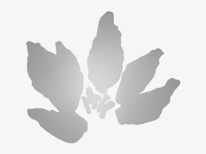 Lotus 1 - Download, transparent png #5768160
