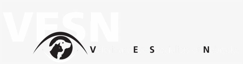 Vesn Logo 2 - Graphic Design, transparent png #5768963