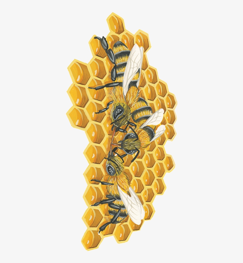 Bees On A Honeycomb - Honeycomb, transparent png #5769370