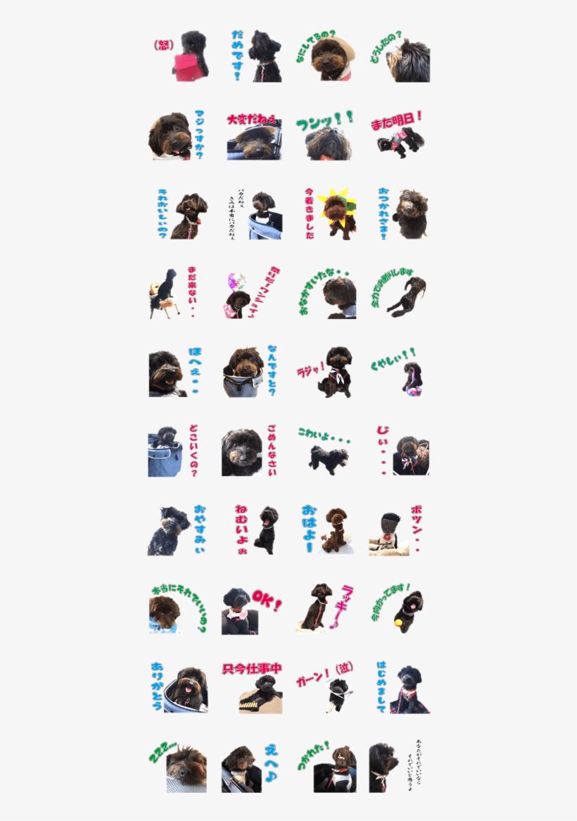 Cute Little Mix Dog Anzu - Ape, transparent png #5769372