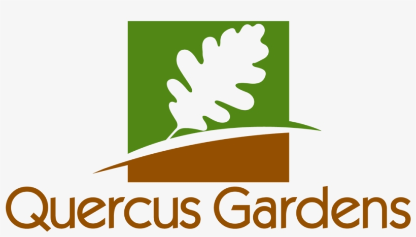 Pass The Ball To Mvp Russell Westbrook For Your Choice - Garden, transparent png #5771406