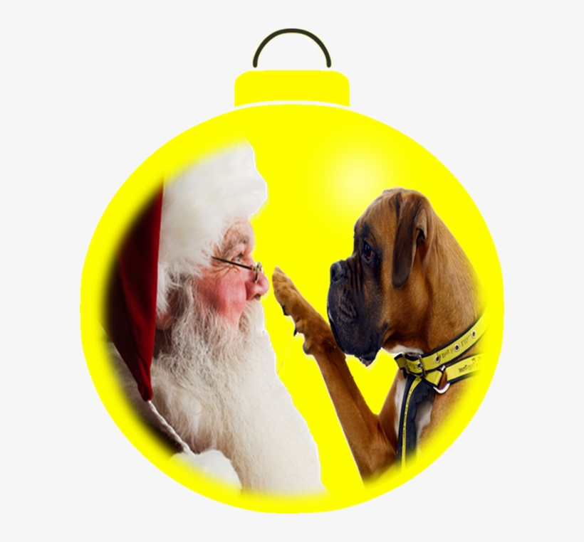 Merry Christmas Everyone The Blog Will Be Taking A - Weihnachtspostkarte Postkarte, transparent png #5771742