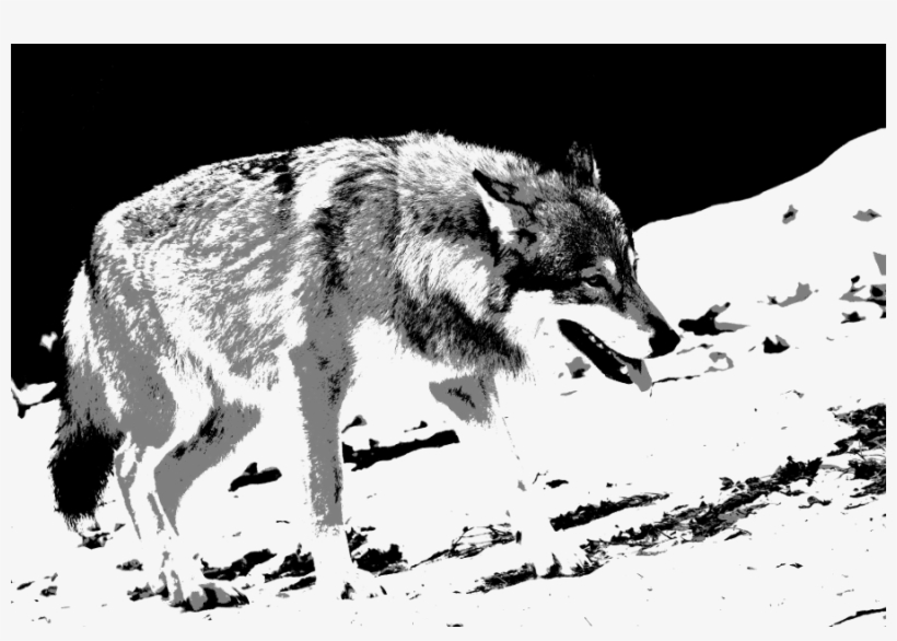 Picture - Snow, transparent png #5772301