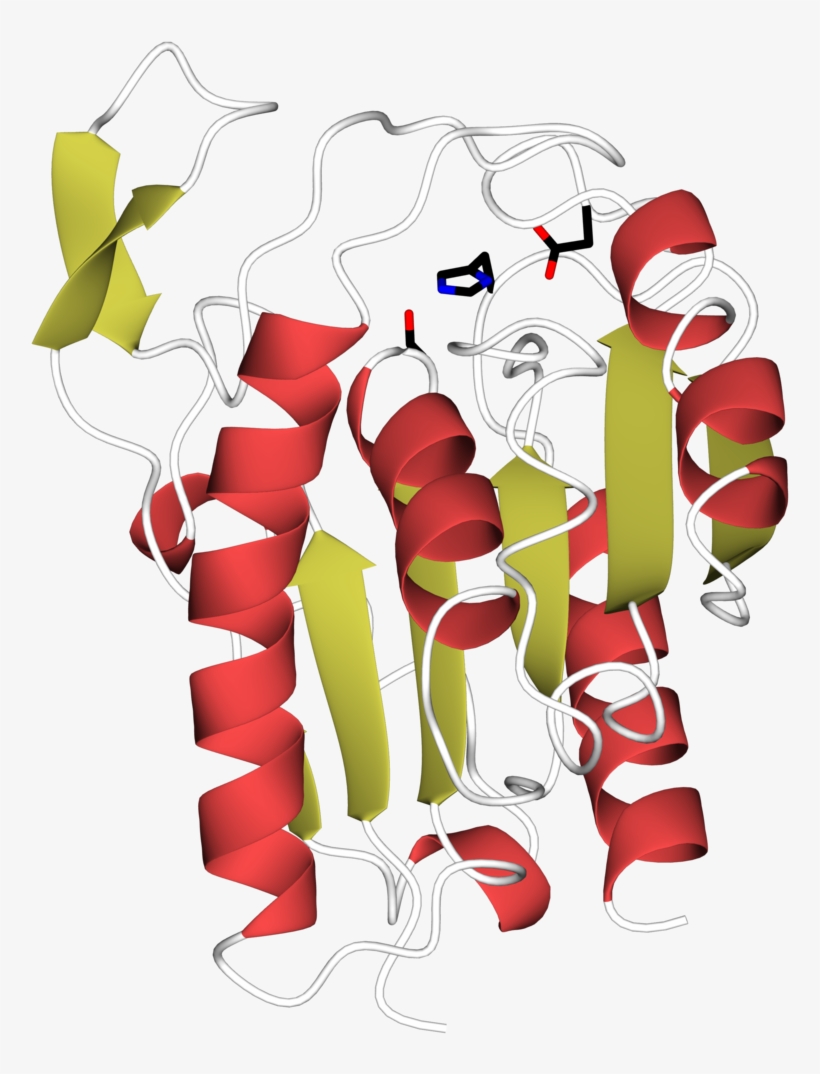 File - Atsober1 - Illustration, transparent png #5772464